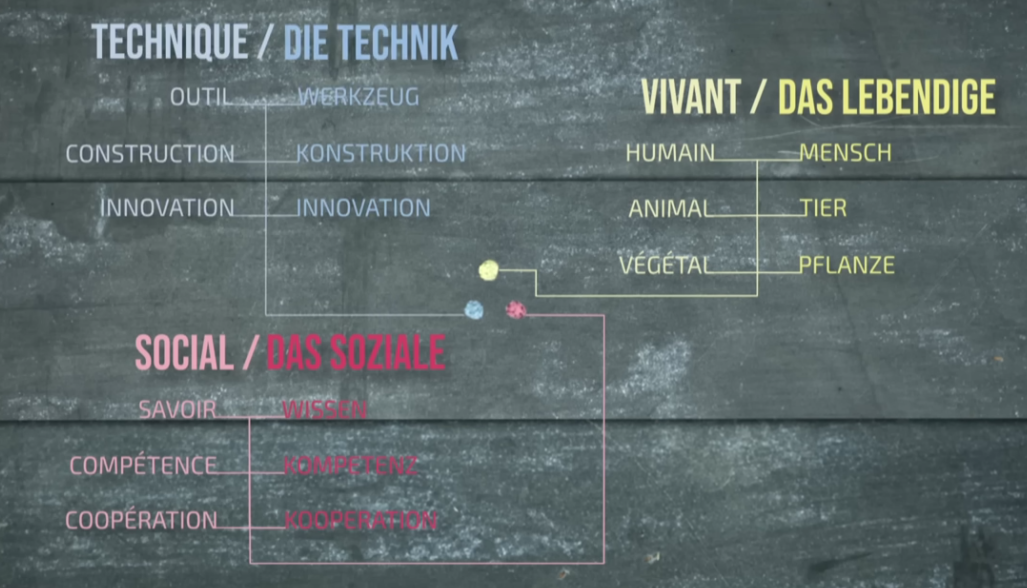 Bildschirmfoto_2025-11-15_um_08.25.41
