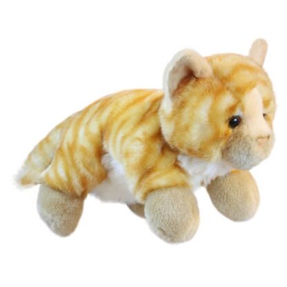 Cat – Full-Bodied