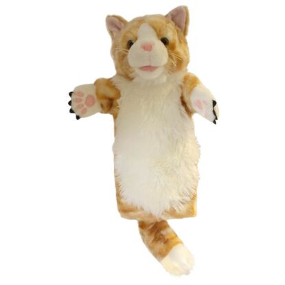 Cat – Ginger – Long-Sleeved