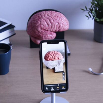 AnatomyTouch
