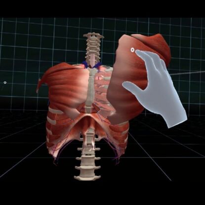 BioDigital in Virtual Reality