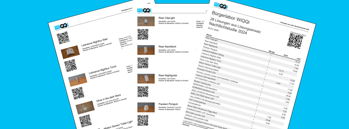 WiQQi-Inventur-A4-1110x411