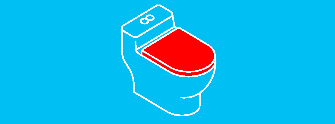 farbige_Toilettenbrille_LA_1110x411