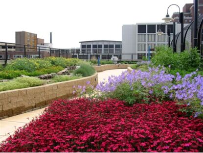 Schwab Rehabilitation Hospital Rooftop Garden